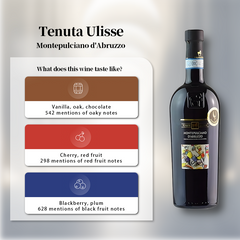 Tenuta Ulisse Montepulciano d'Abruzzo (Unico) 2021 750ml 14%·Italy·Red wine